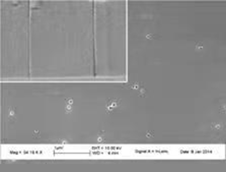 1638856473177452.jpg 2.jpg