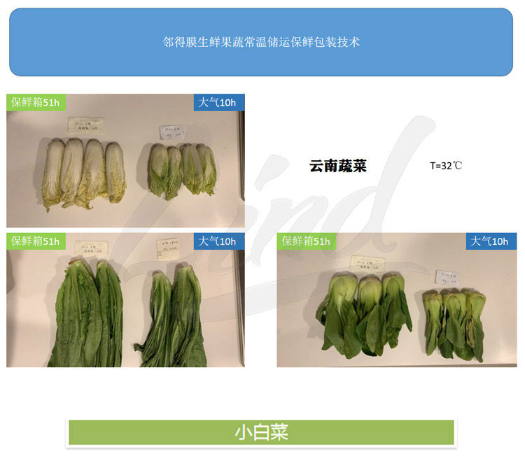 1639039253444381.jpg 鄰得膜生鮮果蔬自發氣調保鮮包裝技術詳情換成這個_01.jpg