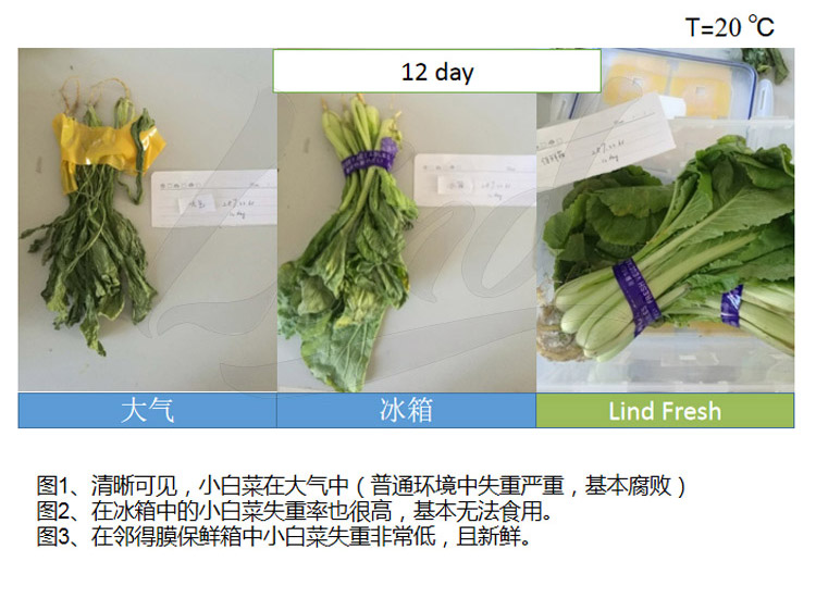 1639039268323595.jpg 鄰得膜生鮮果蔬自發氣調保鮮包裝技術詳情換成這個_02.jpg