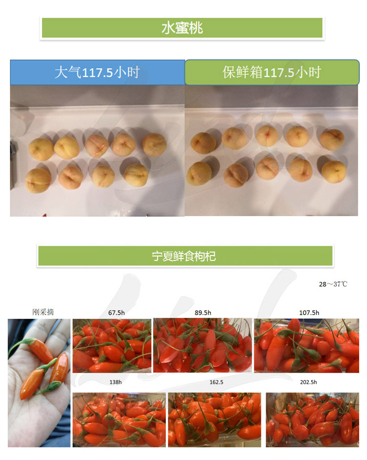 1639039287103567.jpg 鄰得膜生鮮果蔬自發氣調保鮮包裝技術詳情換成這個_04.jpg