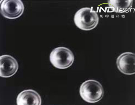 從核技術實驗室到百姓餐桌：一位女科學家如何用“原子彈級”技術破解民生難題