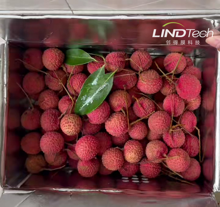 荔枝保鮮方法全解析：傳統與創新技術的對比與推薦